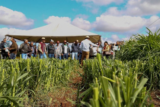 Oficinas do Projeto Fazendinha tem como objetivo levar capacitação e aprimoramento de produção