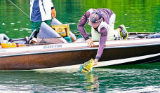 Festival de Pesca de Águas de Miranda integra um plano de desenvolvimento do turismo