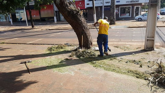 Pregão eletrônico ocorreu na sexta-feira (29); Foto: Assessoria