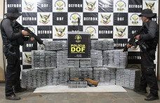 Foram retirados de circulação mais de 185 mil pacotes de cigarros; Foto: Divulgação/DOF