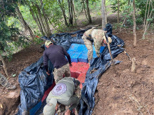 Secretaria Nacional Antidrogas apreendeu 34.500 quilos de maconha picada; Foto: Divulgação/Senad