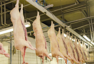Na carne de aves, o volume exportado ficou acima do ano passado
