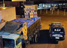 Foto: Divulgação/DOF