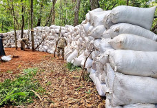 Toda a droga está avaliada em aproximadamente 10 milhões de dólares; Foto: Divulgação/Senad