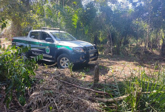 Infrator realizou a remoção das áreas protegidas do córrego Benfica; Foto: Divulgação/PMA