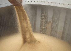 De acordo com autoridades ucranianas, mais de 20 milhões de toneladas de grãos estão presas em silos no país; Foto: Fabio Scremin/APPA