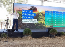 Na próxima safra (2022/2023) a soja deve ocupar 3,9 milhões/ha; Foto: Kelly Venturini/Semagro