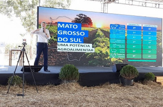 Na próxima safra (2022/2023) a soja deve ocupar 3,9 milhões/ha; Foto: Kelly Venturini/Semagro