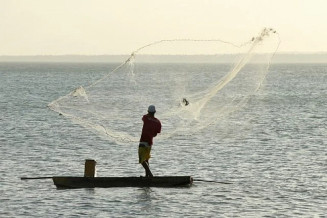 Desde 2019, o Ministério da Agricultura suspendeu mais de 67 mil licenças irregulares de pesca e cancelou outras 39 mil