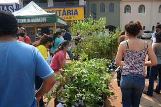 Ação ocorre na Praça Antônio João, nesta sexta-feira (3); Foto: Arquivo/Assecom