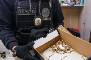 Paraguai: Rede de distribuição de drogas sintéticas formada até por brasileiros é desmantelada