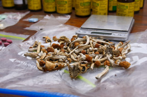 Paraguai: Rede de distribuição de drogas sintéticas formada até por brasileiros é desmantelada