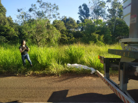 Ciclista morre depois de ser atropelado por caminhão em Jateí