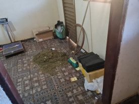 Dupla é presa pela Defron com 245 quilos de drogas avaliados em R$ 460 mil