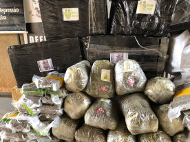 Dupla é presa pela Defron com 245 quilos de drogas avaliados em R$ 460 mil