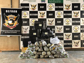 Dupla é presa pela Defron com 245 quilos de drogas avaliados em R$ 460 mil