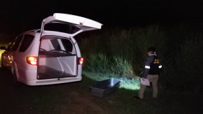 Ciclista morre após ser atropelado por veículo que foge sem prestar socorro na BR-163 em Dourados