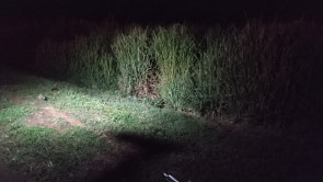 Ciclista morre após ser atropelado por veículo que foge sem prestar socorro na BR-163 em Dourados