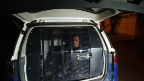 Travesti incorpora pomba gira, ameaça mãe de amigo e é morta com 7 facadas no pescoço em Dourados