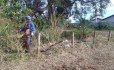 Limpeza em terreno baldio na região do Roma vai garantir mais segurança e tranquilidade; Foto: Divulgação/Assessoria