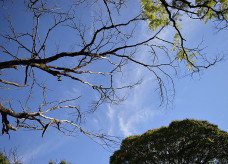 Foto: Arquivo/Luiz Guilherme/Ligado Na Notícia