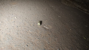 Dupla foi executada com tiros de pistola calibre 9 milímetros em Dourados