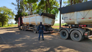 Polícia Militar Rodoviária apreende 5,5 Ton de Maconha em Dourados