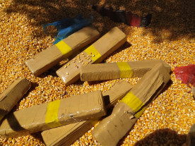 Polícia Militar Rodoviária apreende 5,5 Ton de Maconha em Dourados