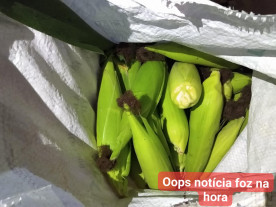 Homem que foi baleado roubando milho morre no hospital