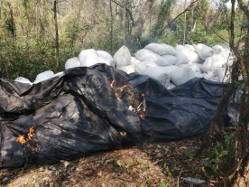 Nova Aliança já provocou prejuízo de 19 milhões de dólares ao tráfico na fronteira