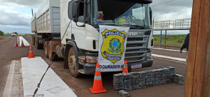 PRF apreende quase meia tonelada de cocaína na fronteira