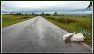 Ciclista foi atropelado por caminhão boiadeiro e morreu na hora. (Foto: Ivi Notícias)