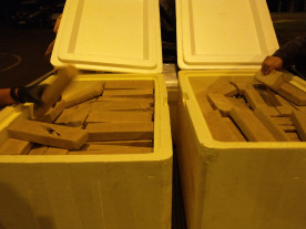 Funcionário da Funai é preso com carro oficial transportando 300 quilos de maconha