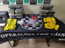 Dupla é presa pela PM após cão farejador encontrar drogas em ônibus em Dourados