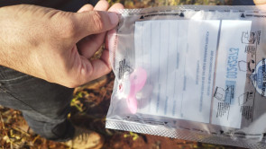 Polícia encontra chupeta de criança de 6 anos estuprada e assassinada em lavoura; vídeo