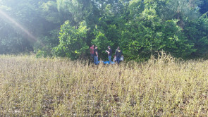 Polícia encontra chupeta de criança de 6 anos estuprada e assassinada em lavoura; vídeo