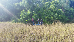 Polícia encontra chupeta de criança de 6 anos estuprada e assassinada em lavoura; vídeo