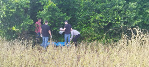 Polícia encontra chupeta de criança de 6 anos estuprada e assassinada em lavoura; vídeo