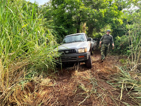 Polícia desmonta laboratório de maconha que abastecia crime organizado no RJ