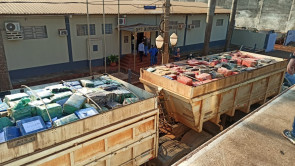 Maior do Brasil: Polícia apreende 33,3 toneladas de maconha em carreta bi-trem e dois homens são presos