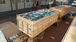 Maior do Brasil: Polícia apreende 33,3 toneladas de maconha em carreta bi-trem e dois homens são presos