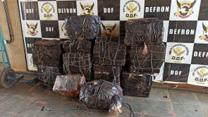 Veículo com mais de meia tonelada de maconha é apreendido pelo DOF