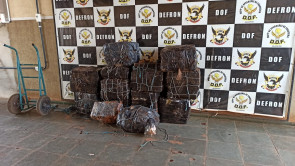 Veículo com mais de meia tonelada de maconha é apreendido pelo DOF