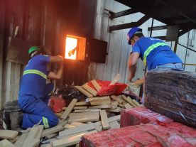 Apreensão recorde, 33 toneladas de maconha é incinerada em Dourados