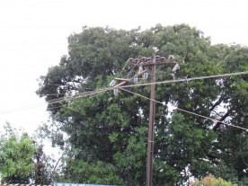 Vendaval provoca estragos em Bataguassu e deixa cidade sem energia; veja as fotos
