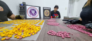 Dominicana é presa com quase 12 mil doses de ecstasy em aeroporto