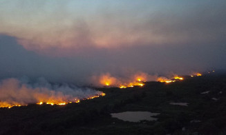 Foto: Divulgação ECOA