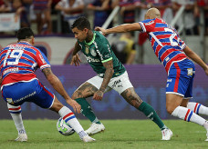 Foto: Cesar Greco/Palmeiras