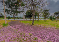 Foto: Michael Meira