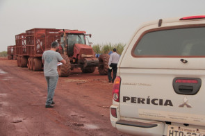Vítima atropelada por trator enquanto trabalhava é identificada